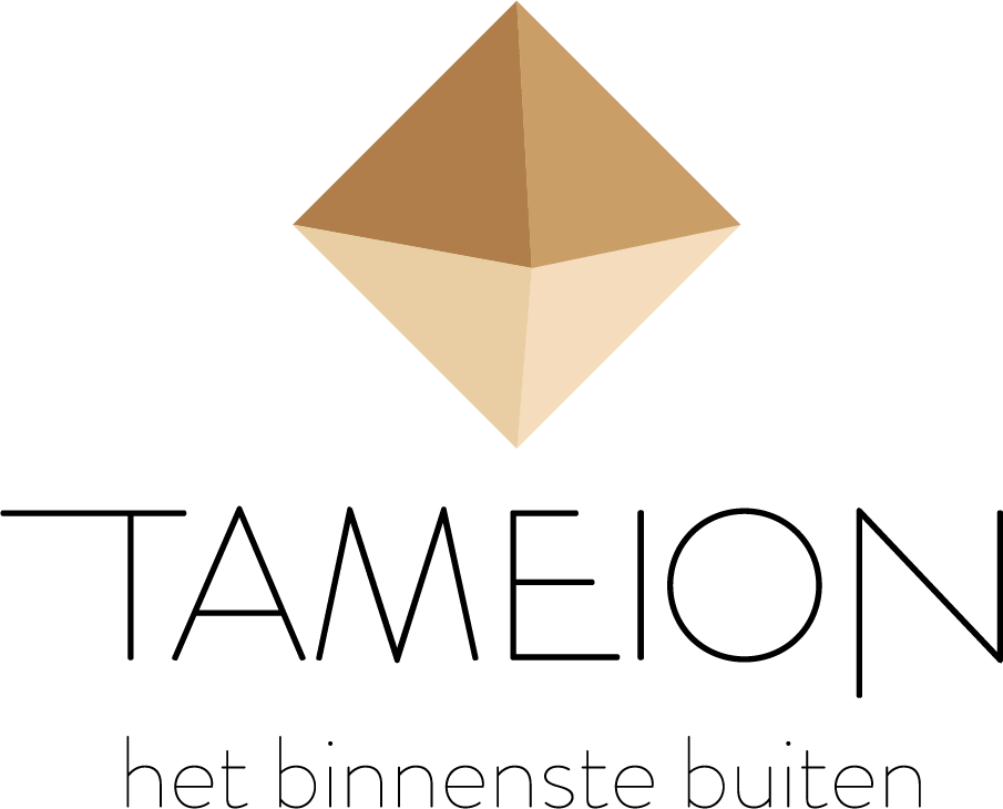Tameion
